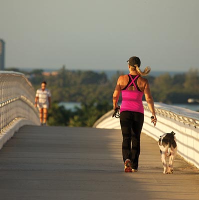 The Best of Florida's Cultural Coast