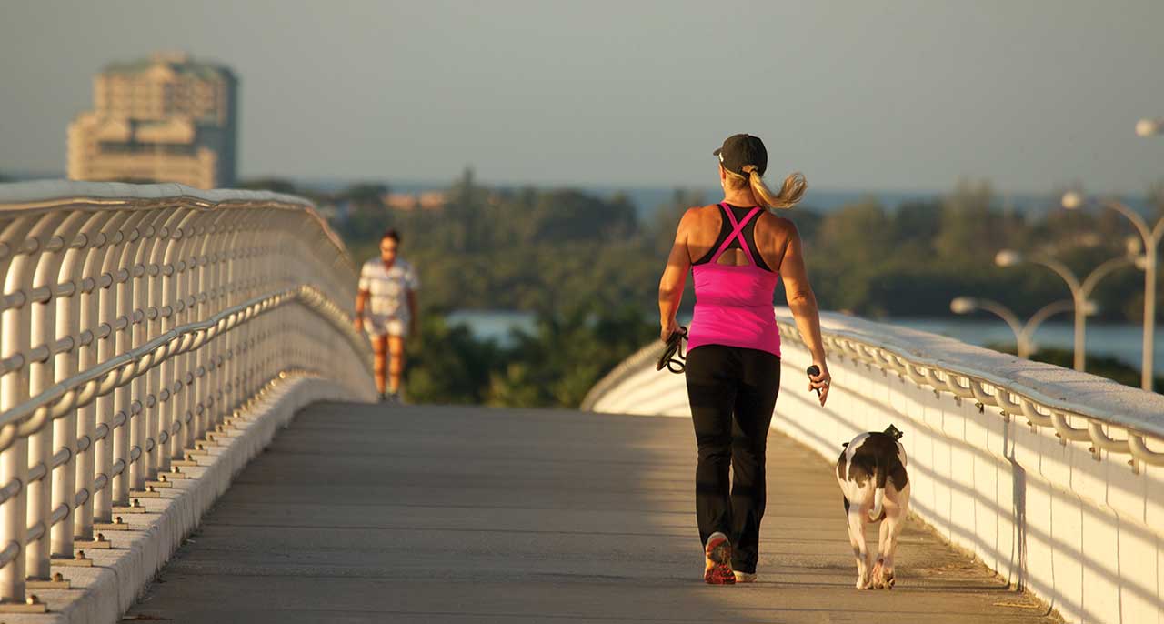 woman walking her dog on the sarasota bridge